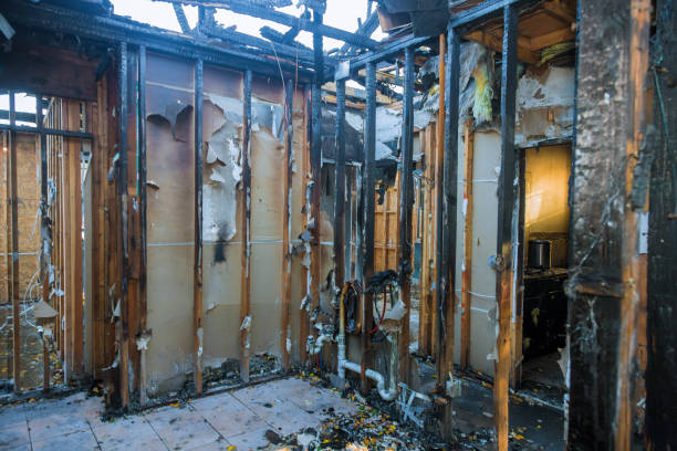 Professional Smoke Damage Removal technician working in Sherrelwood, CO